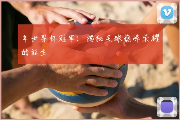 年世界杯冠军：揭秘足球巅峰荣耀的诞生