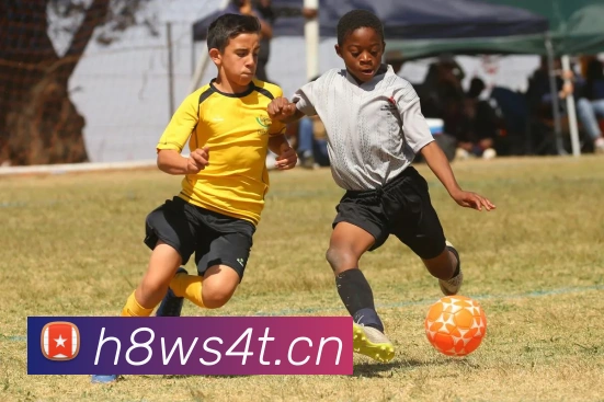 多彩内容专区