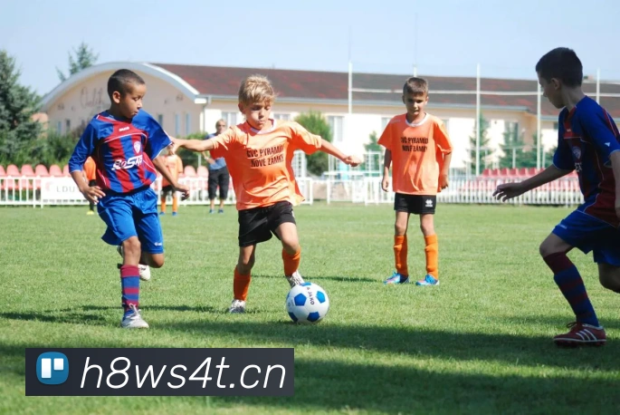 星空体育官网登陆APP 封面图